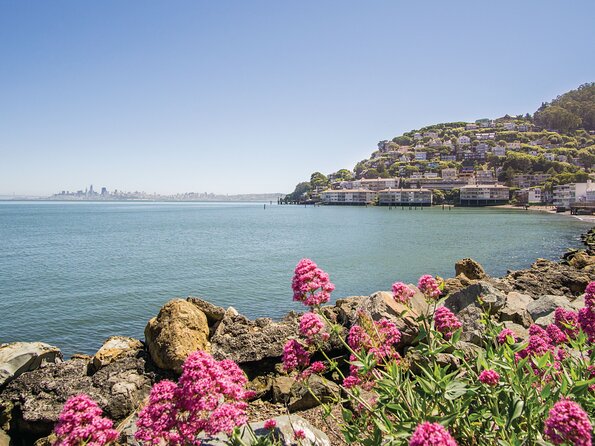 Muir Woods & Sausalito Tour - Muir Woods Experience