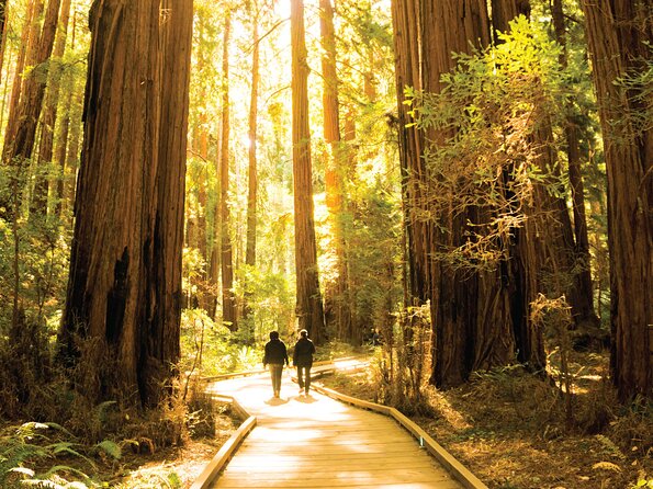 Muir Woods & Sausalito Tour - Tour Guide Insights