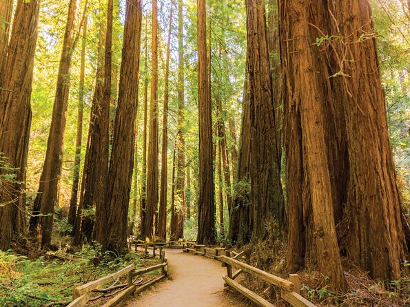 Muir Woods & Sausalito Tour - Inclusions and Exclusions