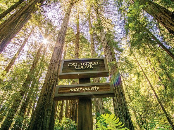 Muir Woods & Sausalito Tour - Time Management