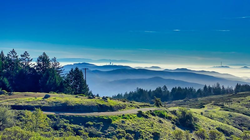 Muir Woods, Sonoma and Napa Wine Country Day Tour from San Francisco - Who will get the most from this outing