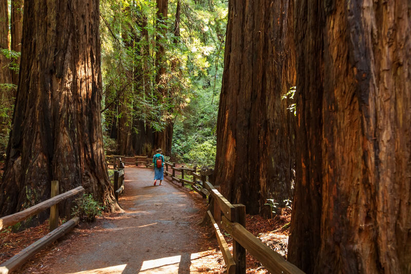 Muir Woods, Sonoma and Napa Wine Country Day Tour from San Francisco - A few practical points before you book
