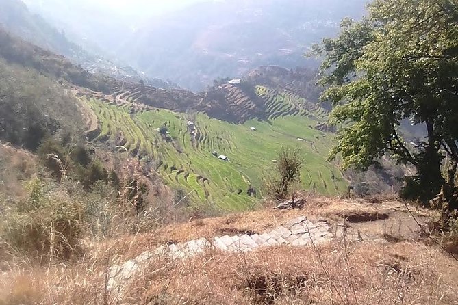 Mulde & Khopra Danda Trek - Trek Itinerary