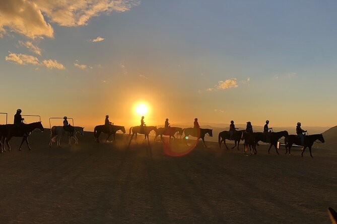 Mulholland Trail Horseback Tour - Lowest Price Guarantee and Refunds