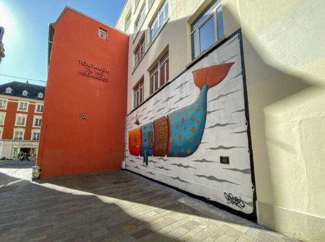 Mulhouse: Complete Self-Guided Audio Tour on Your Phone - Common Questions