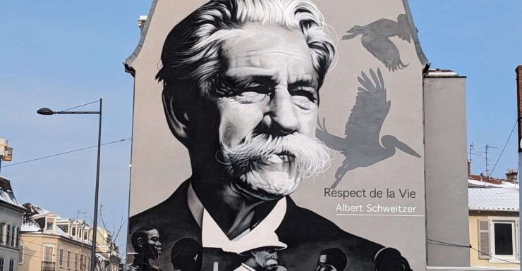 Mulhouse: Highlights Walking Tour With a Local Guide - Languages and Group Size