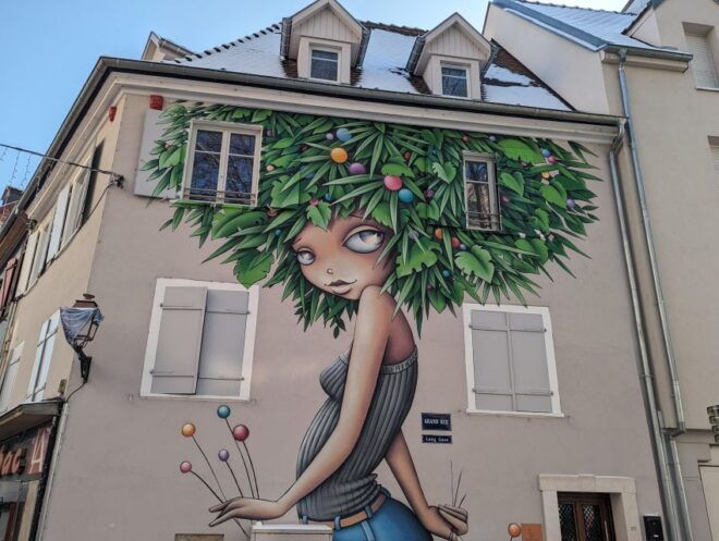 Mulhouse: Highlights Walking Tour With a Local Guide - Key Highlights of the Tour