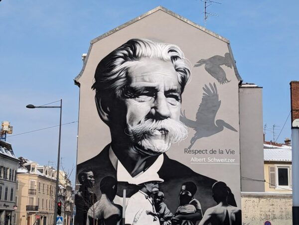 Mulhouse: Highlights Walking Tour With a Local Guide - Customer Review and Recommendation