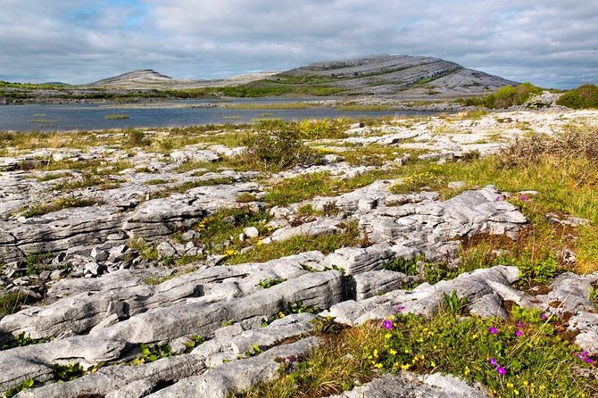 Mullaghmore Private Walk. the Burren, Co Clare. Guided. 2 Hours. - Additional Information