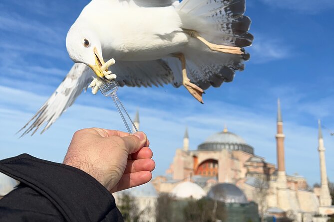 Multi 2 Days Private Guided Istanbul Top Highlights City Tour - Top Istanbul City Tour Tips