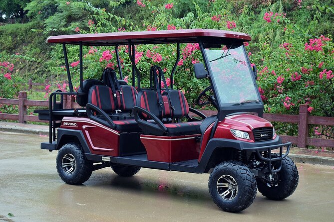 Multi Day 6 Passenger LSV Golf Cart Rental - Pickup Details