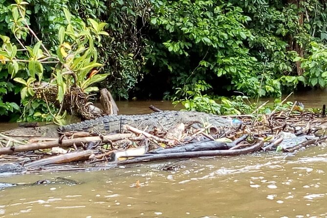 Multi-Day All Inclusive at Tortuguero With a Tour at National Park From San Jose - Meeting and Pickup Details