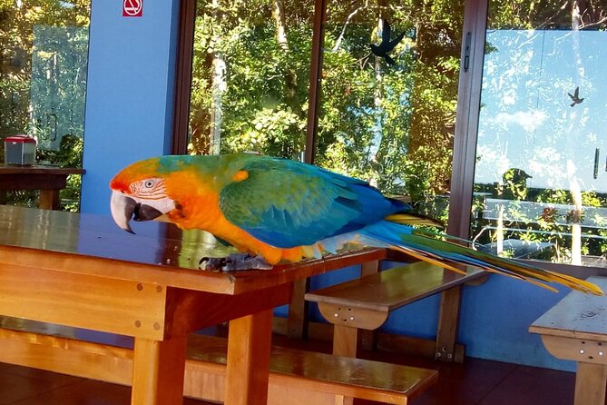 Multi-Day All Inclusive at Tortuguero With a Tour at National Park From San Jose - Pricing Information