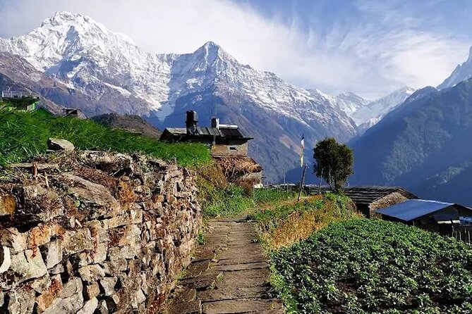 Multi-Day Ghandruk Trek in Pokhara - Pricing and Booking Information