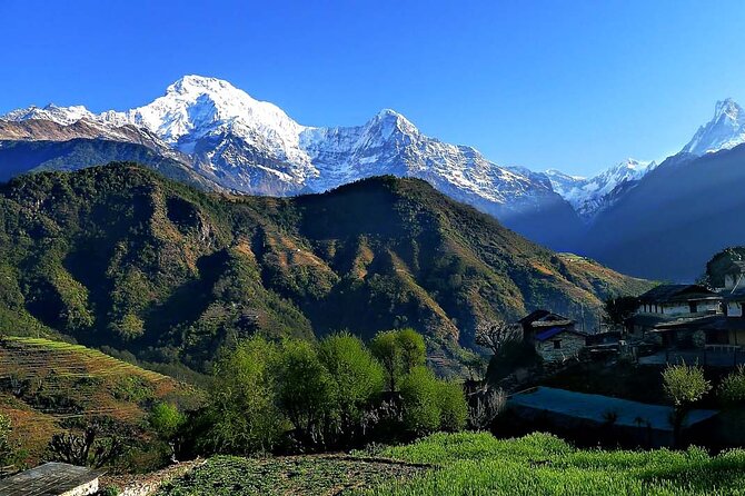 Multi-Day Ghandruk Trek in Pokhara - Common Questions