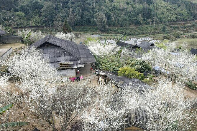 Multi Day Hidden Village in Sapa Town Tour - In-Depth Look at the Itinerary