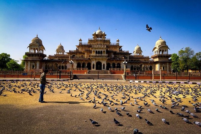 Multi-Day Incredible Golden Triangle Tour of India - Delhi Jaipur Agra - Tour Highlights
