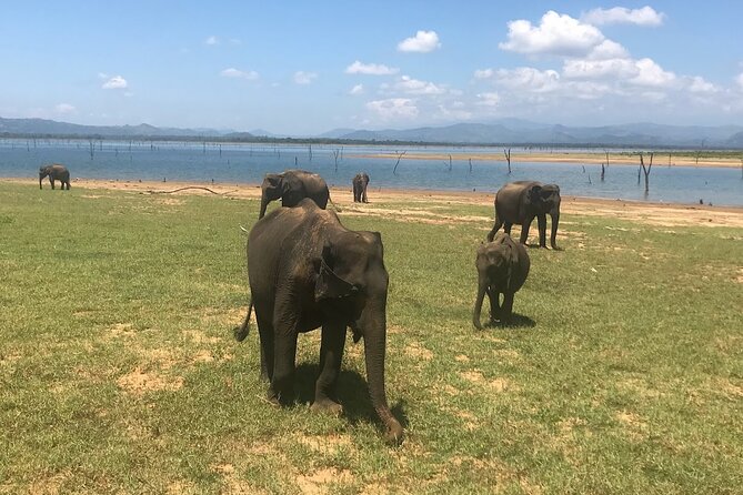 Multi Day Private Tour Around Sri Lanka With Our Personal Driver - Inclusions and Exclusions