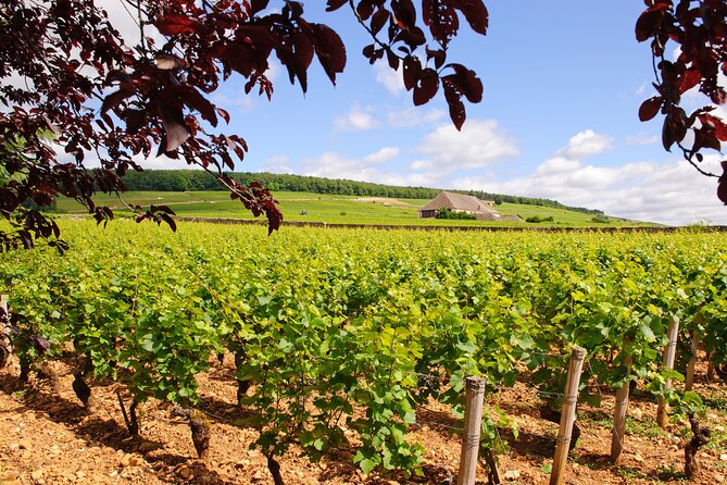 Multi Day Private Tour of Côte De Nuits and Côte De Beaune - Accommodation and Transportation