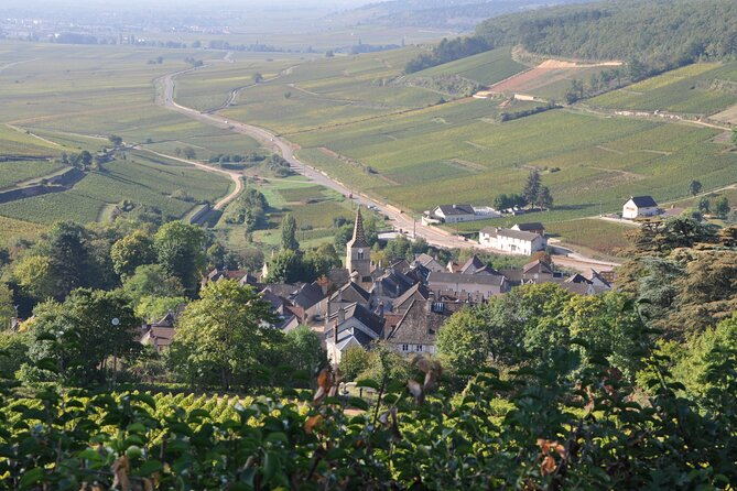 Multi Day Private Tour of Côte De Nuits and Côte De Beaune - Booking Information