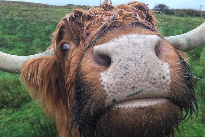 Multi Day Private Tour Of Scotland - Meeting Points