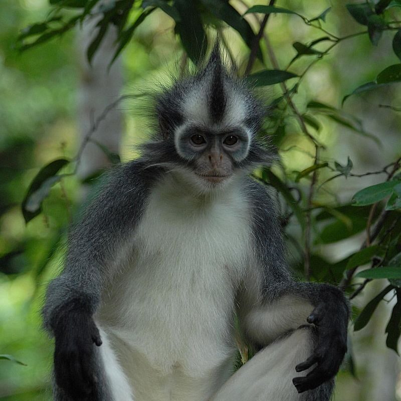 Multi-Day Private Wildlife & Volcano Hiking Experience - Five days linking jungle and volcano