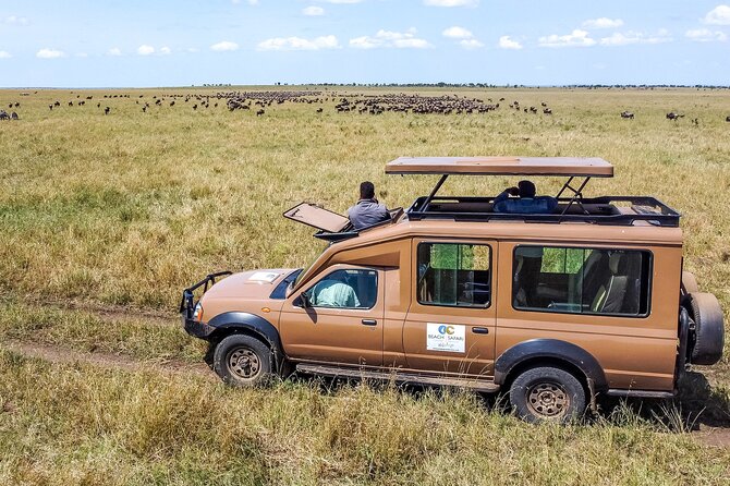 Multi-Day Safari to Serengeti N.P. From Zanzibar With Flights - Good To Know