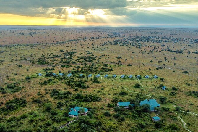 Multi-Day Safari to Serengeti N.P. From Zanzibar With Flights - The Sum Up
