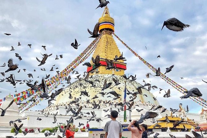 Multi Day Tour :Culture & Heritage Tour of Nepal *5 STAR HOTELS* #visitnepal2020 - Accommodation and Amenities