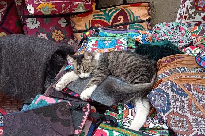 Multi Day Tour Through the Desert and Cities of Uzbekistan - Exploring Uzbekistan: What You Can Expect from This Tour