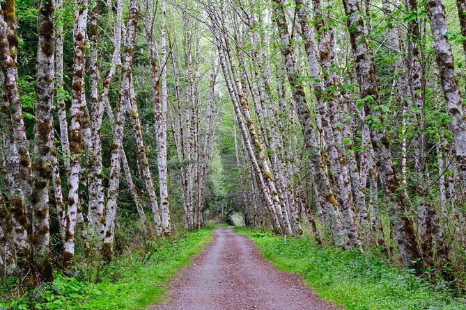 Multi Day Trek from Vancouver to Victoria - Good To Know