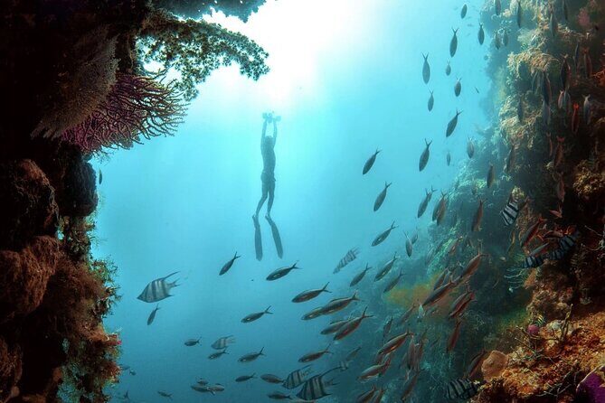 Multi-Day Underwater Sea Scooter Adventure with Free Delivery - Good To Know