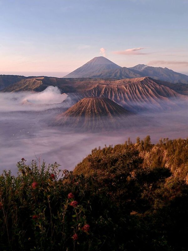 Multiday Sharing Tour to Mount Bromo & Ijen from Surabaya - The essentials at a glance