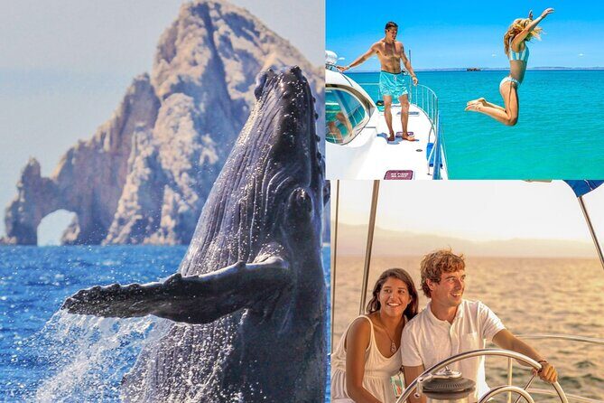 Multimillion Yacht Cabo Cruise Sunset or Snorkel Optional PICKUP! - The Itinerary: What to Expect from Start to Finish