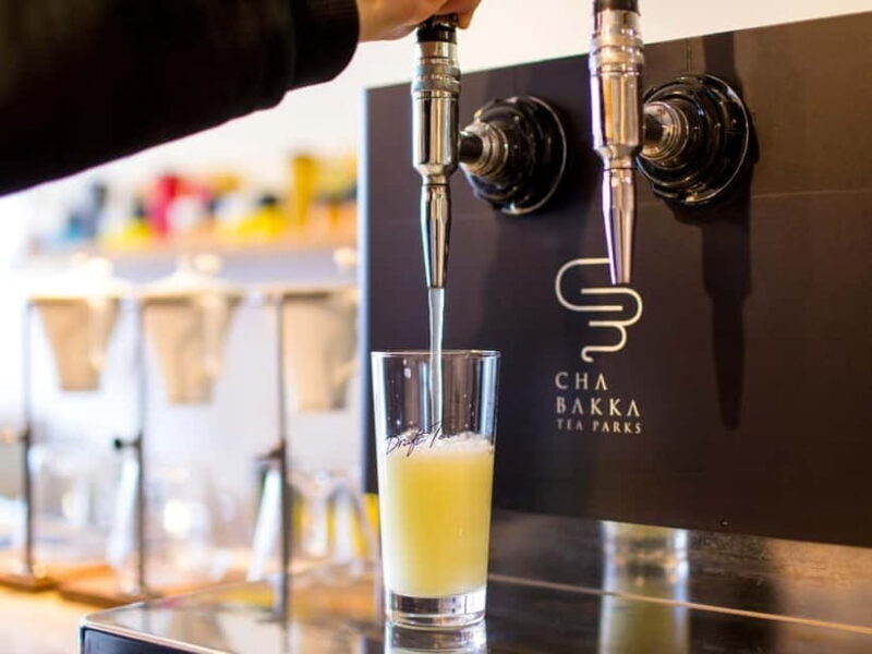 Multiple courses of Stylish Japanese tea entertainment - Who Should Consider This Experience?