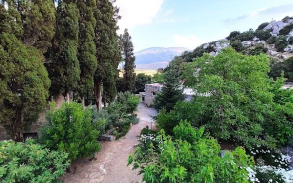 Multitour: Lasithi, Zeus Cave, Olive Farm & Knossos Palace - The Sum Up