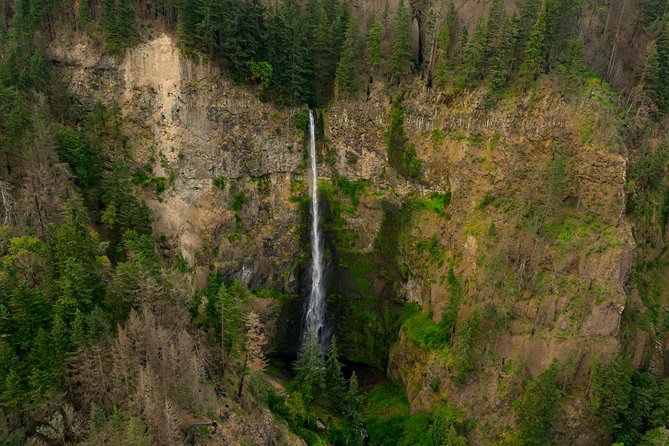 Multnomah Falls and Columbia Gorge Air Tour From Portland - Reviews