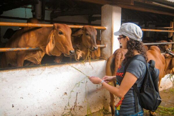 Mumbai Bicycle Tour - Common Questions