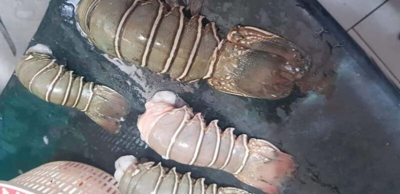 Mumbai Coastal Cooking: From Fishing Net to Flavourful Plate - Exploring Mumbai’s Coastal Heritage