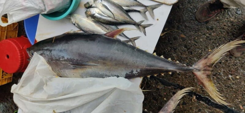 Mumbai Coastal Cooking: From Fishing Net to Flavourful Plate - FAQ