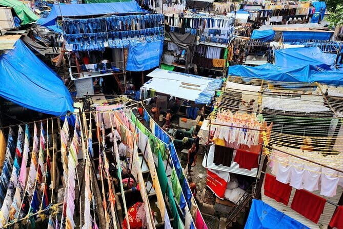 Mumbai Dharavi Slum, Dhobi Ghat & Dabbawala Lunchbox Tour - What to Expect from the Experience