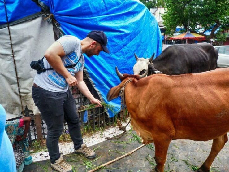 Mumbai: Exclusive Full-Day Private Guided Sightseeing Tour - Tour Highlights