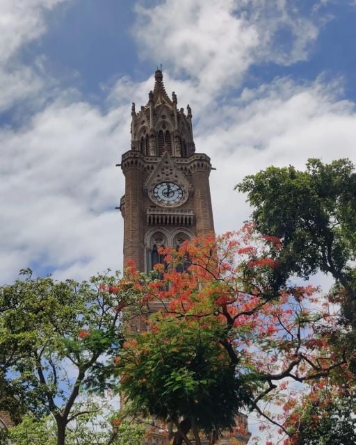 Mumbai: Explore Hidden Gems of Mumbai Heritage & Dhobi Ghat. - Heritage Walks in Mumbai
