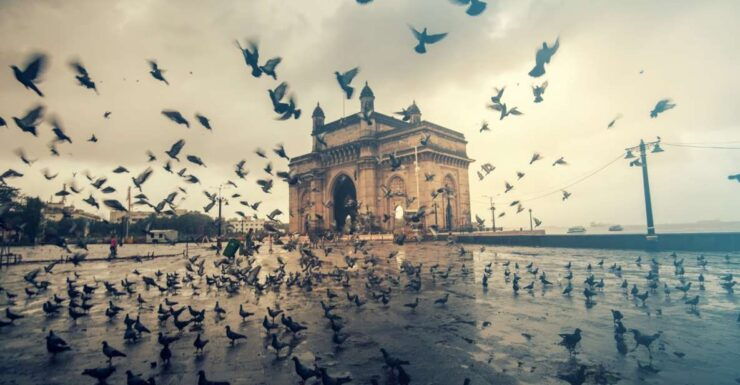 Mumbai Full Day Private City Tour With Guide and Transfer - Good To Know