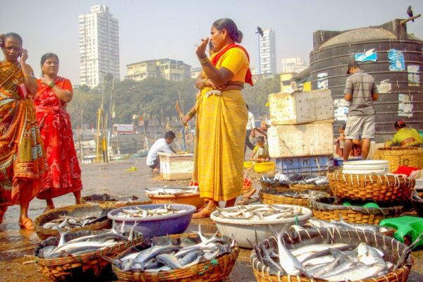 Mumbai: Full-Day Private Sightseeing Tour - The Sum Up