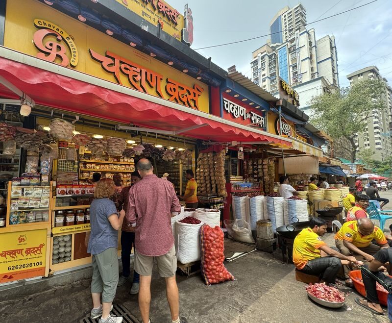 Mumbai: Full-Day Private Tour in AC Car with Driver & Guide - The Optional Train Ride and What May Change