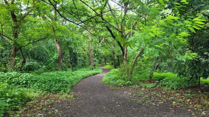 Mumbai: Maharashtra Nature Park Guided Nature Trail - Good To Know