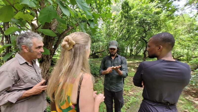 Mumbai: Maharashtra Nature Park Guided Nature Trail - Practical Tips for Your Visit