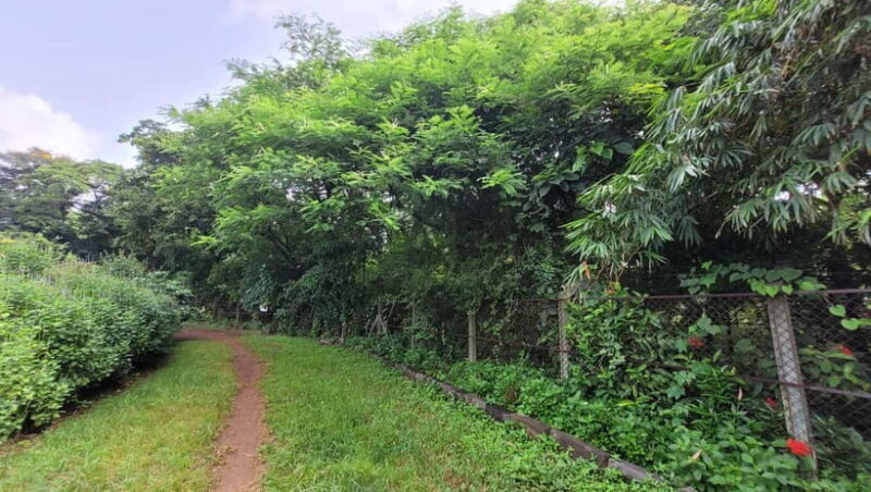 Mumbai: Maharashtra Nature Park Guided Nature Trail - Analyzing the Value for Money
