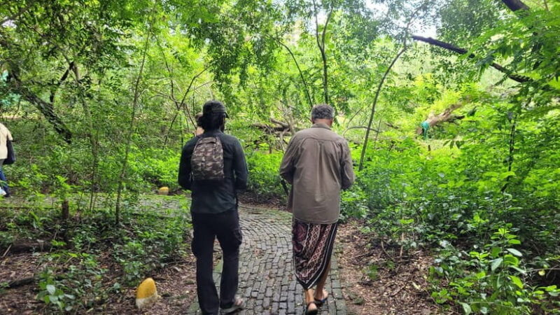 Mumbai: Maharashtra Nature Park Guided Nature Trail - Who Should Consider This Tour?